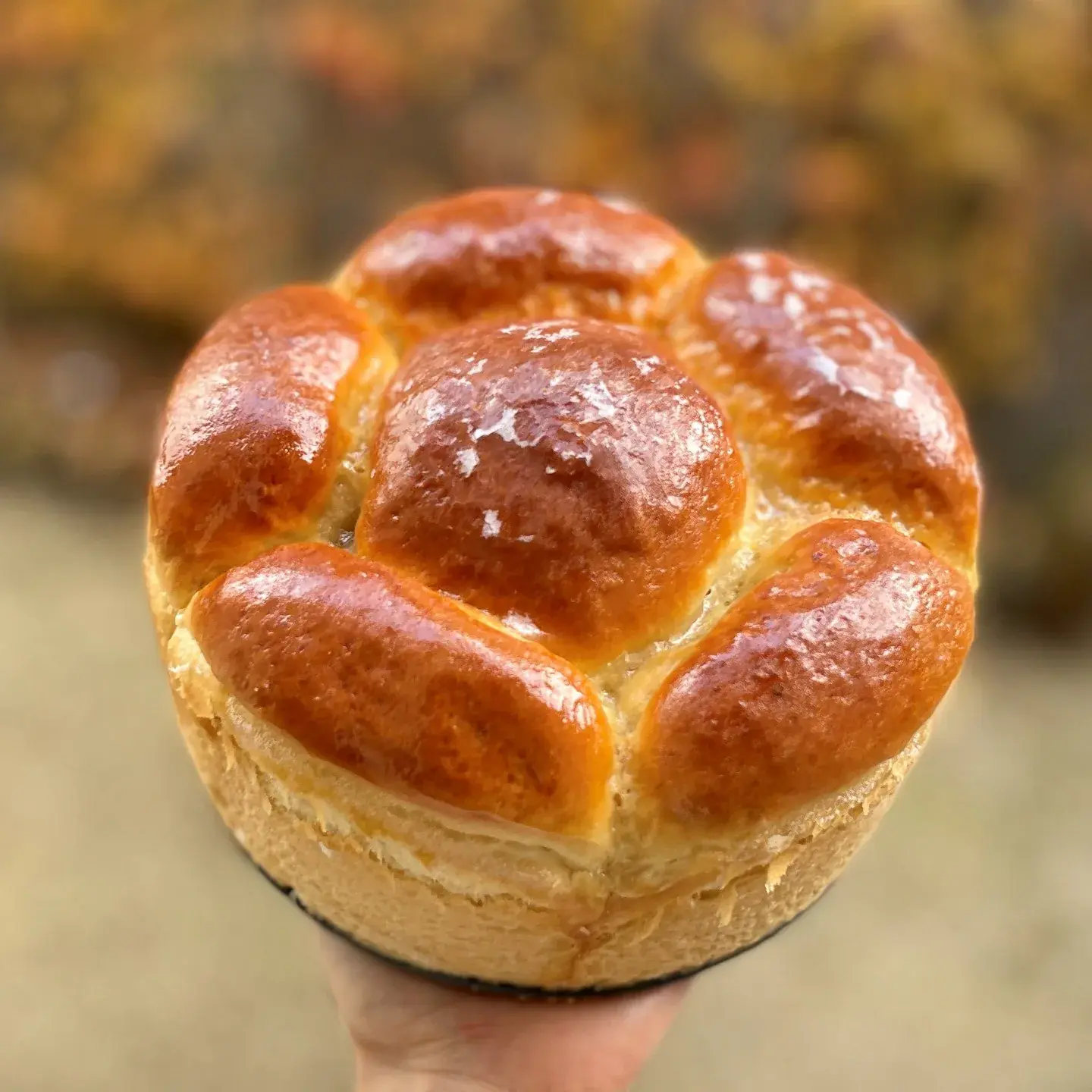Brioche à la mie filante, photo 1 sur 2