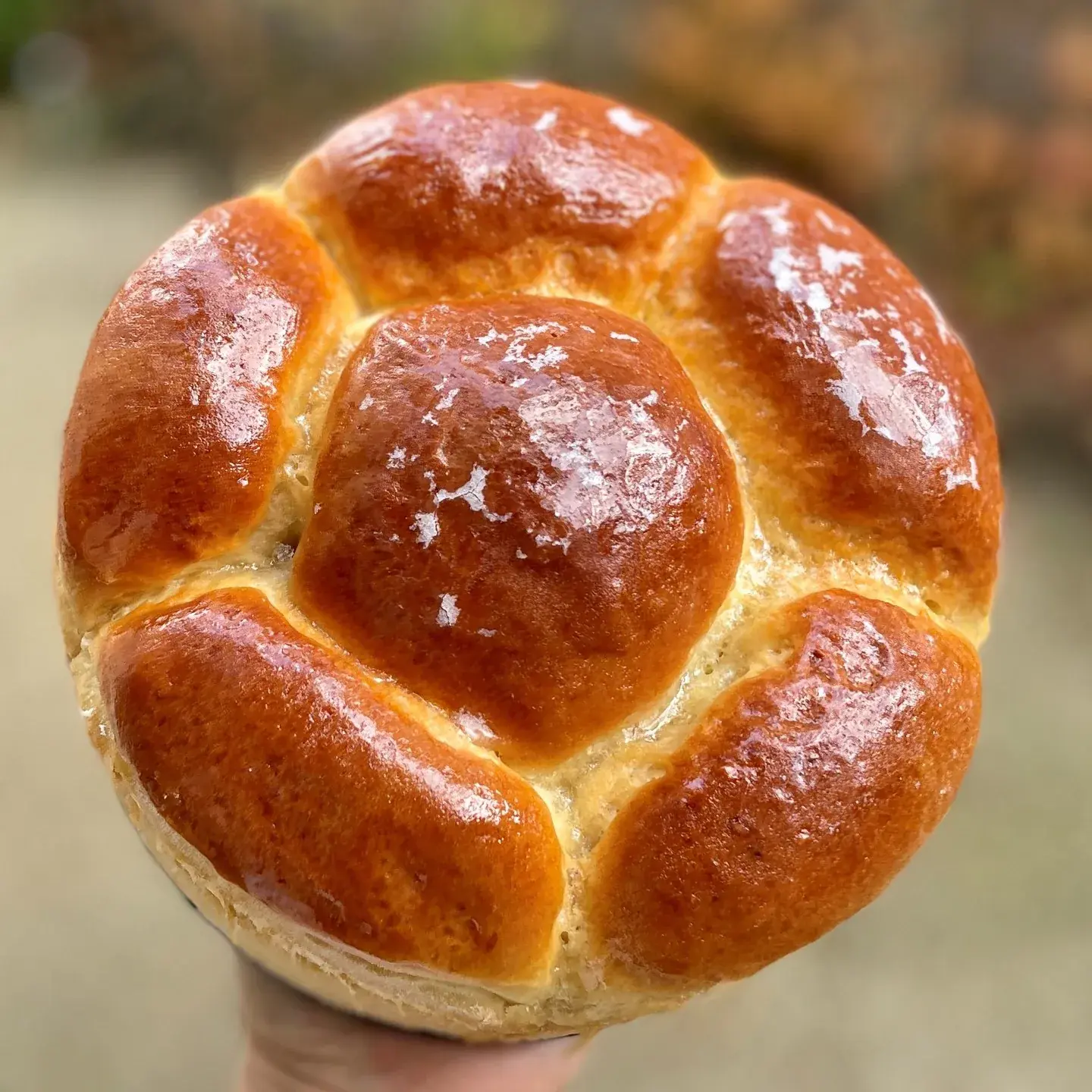 Brioche à la mie filante, photo 2 sur 2